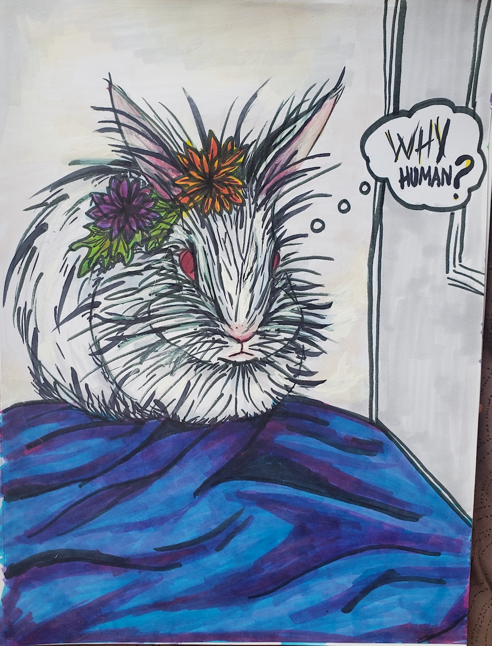 Draw a Cartoon Animal - Toronto Art Classes | Avenue Road Arts School