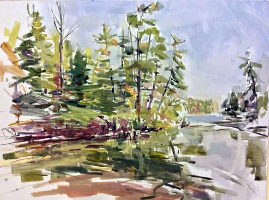 The Canadian Landscape- Tom Thomson Trail