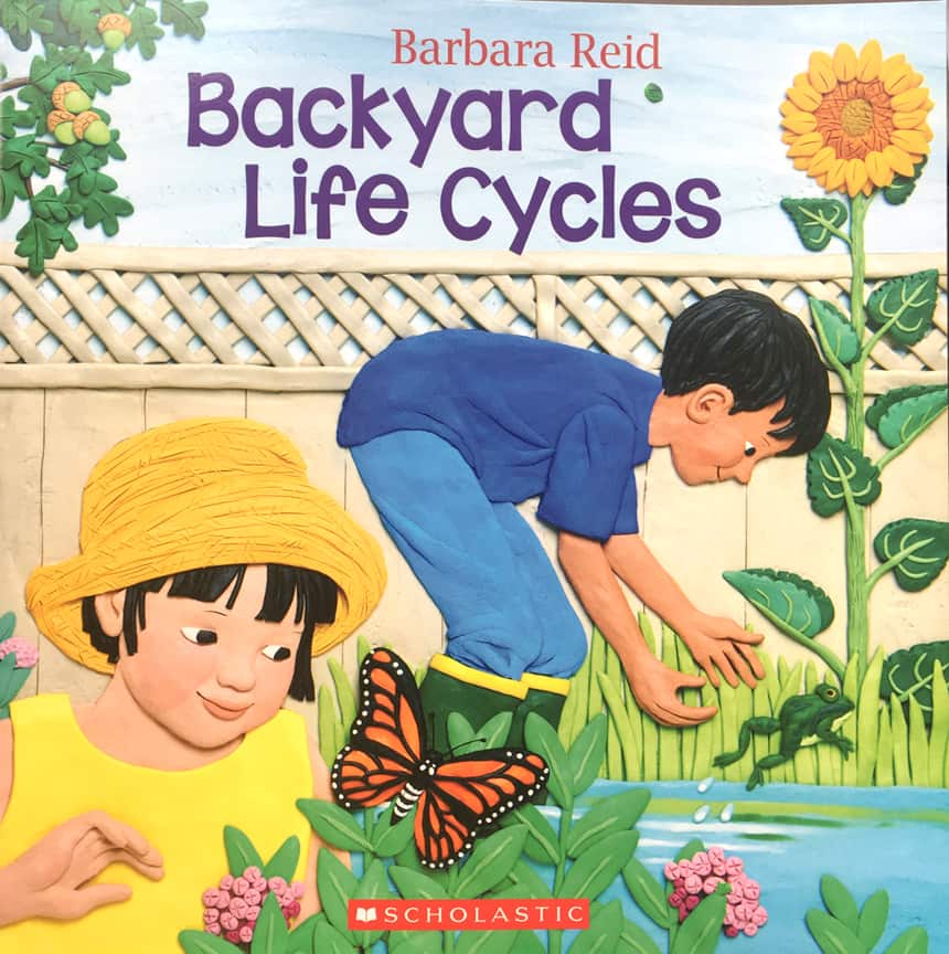 BackyardLifeCycles-Sandra