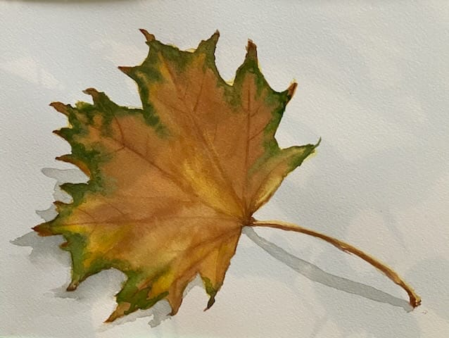 watercolour art work _ aras painting beginner class